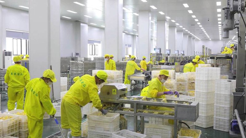 太生堂生物科技:引领行业新风尚